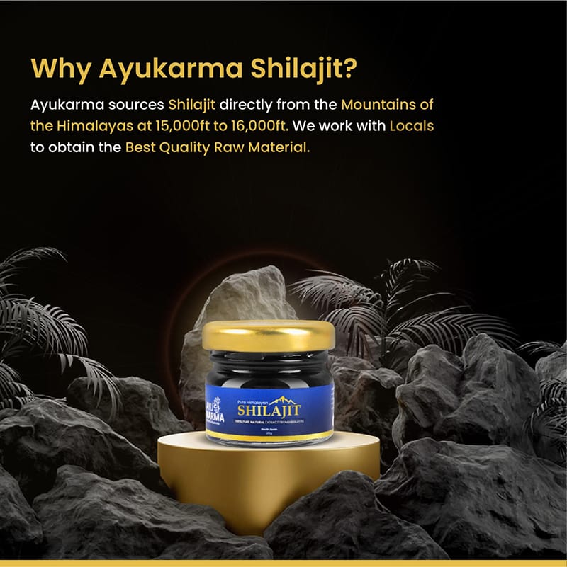 Shilajit Resin